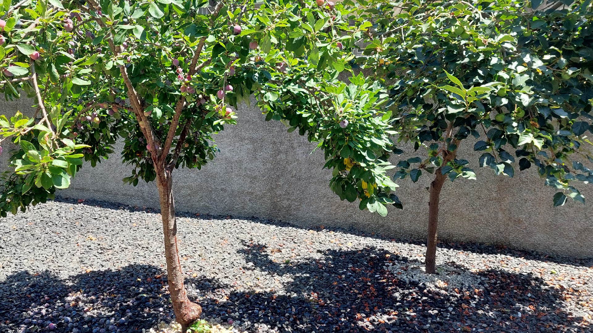 Chill outside with green gardens at AL Madeira luxury holidays