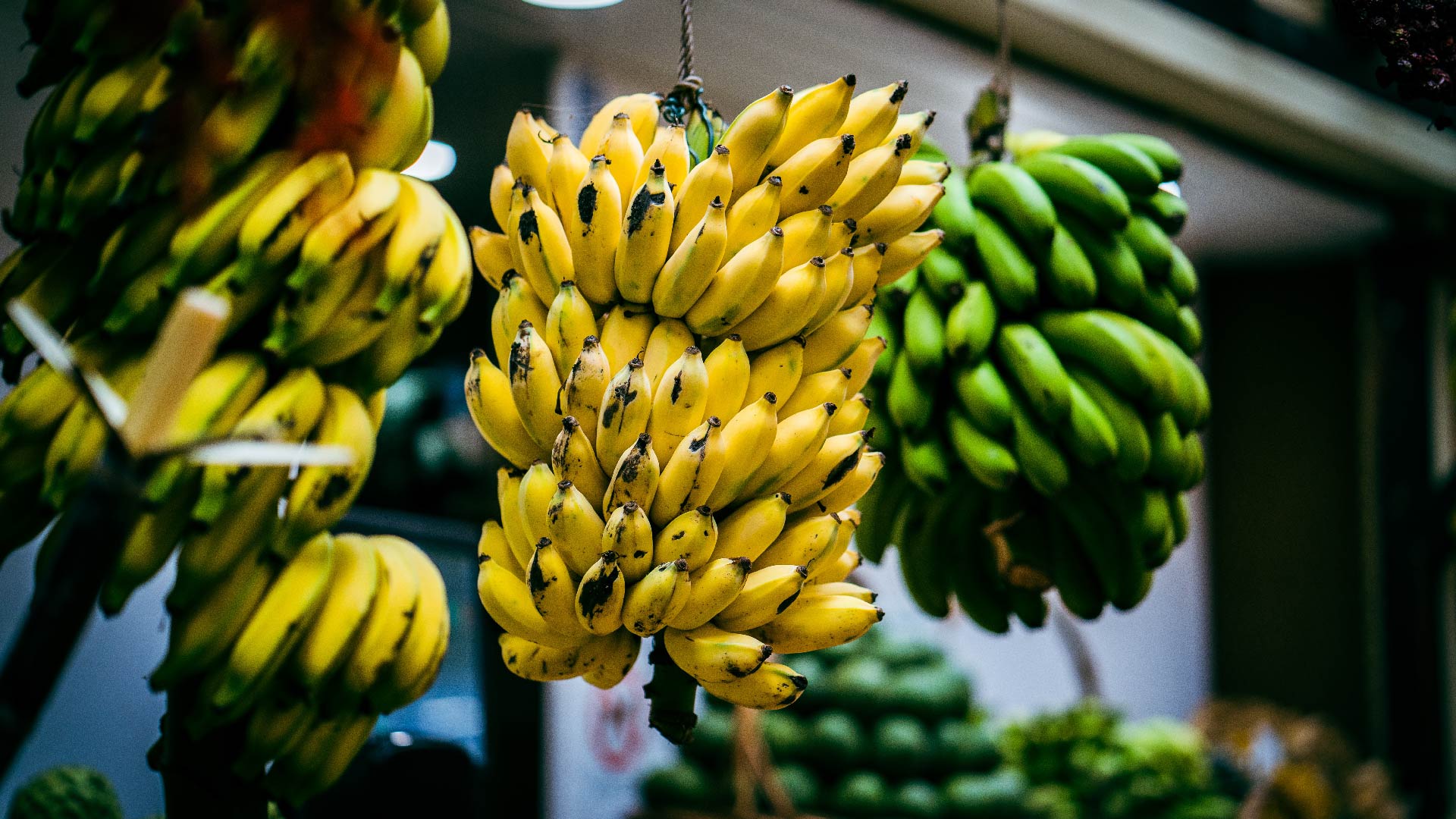 Bananas, product from Madeira Island